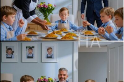 BILLIONAIRE’S QUADRUPLETS DROVE EVERY NANNY AWAY—WHAT HE SAW THE NEW MAID DOING LEFT HIM SPEECHLESS