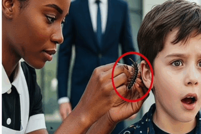 The Miracle in the Marble Hall