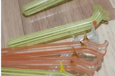 What is this…? I found it in my grandmother’s closet