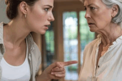 Get out of my apartment, Mom! Your nerve is off the charts!” — the daughter refused to tolerate her mother’s humiliations