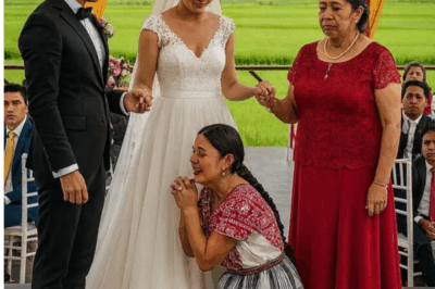 On my son’s wedding day, the maid suddenly ran onto the stage, knelt down, and confessed a sh0cking truth that shook the whole room…