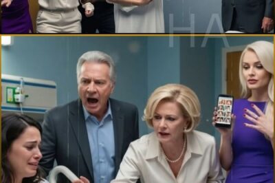 Next – She Just Gave Birth — Her In-Laws Handed Her Divorce Papers… Not Knowing She Was a Secret Billionaire