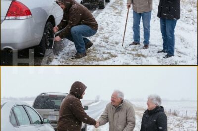 I Helped an Elderly Couple with a Flat Tire on the Highway – a Week Later, My Life Completely Changed