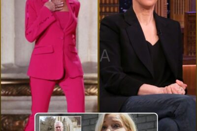 RACHEL MADDOW’S FIFTY-MILLION-DOLLAR CHALLENGE: THE NIGHT SHE TURNED SILENCE INTO A STORM