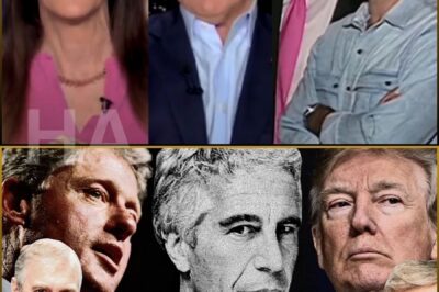 BREAKING: Sean Hannity panics live on-air as his progressive guest brings up Tr^mp’s Epstein scandal and apparent dementia — derailing his carefully planned propaganda.