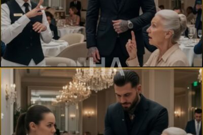 Shy Waitress Greeted Mafia Boss’s Deaf Mom — Her Sign Language Had Everyone Stunned