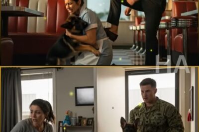Rich Couple Kicked a Waitress Shielding Her German Shepherd Pup–Not Knowing a Navy SEAL Was Watching
