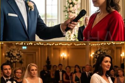 He Forced His Pregnant Ex-Wife to Sing at His Wedding To Disgrace Her — But Her Song…