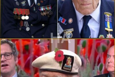 Give that Man a Knighthood: 100-Year-Old WW2 Hero SLAMS Labour’s “Broken Britain” — “It’s Not a Nice Place Anymore!” 💥😢