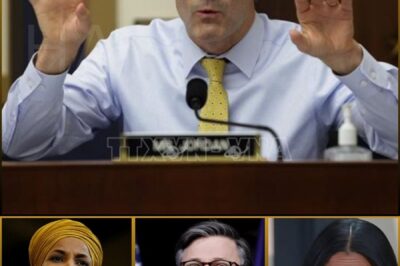 IT’S OFFICIALLY OPENED: “THE BILL THAT COULD REINVENT AMERICA — AND WHO BELONGS THERE.”