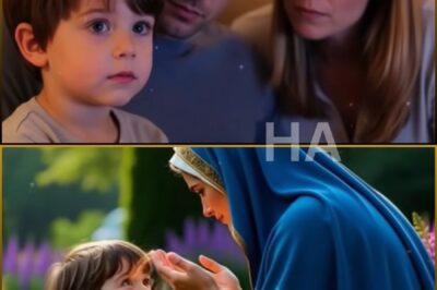 The Miracle in Denver — The Adopted Boy Who Spoke with the Virgin Mary in the Garden