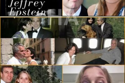 Breaking News Update — On December 13, the dark wall shattered once again. DIRTY MONEY — Netflix’s new four-part series — is not merely a retelling of Virginia Giuffre’s story. It exposes the entire web of power that once fought to erase that truth from history.