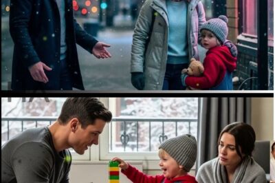 “We Have Nowhere to Go…” She Whispered — He Looked at Her and Said, “You Do Now.”