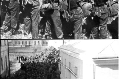 What Happened to German Soldiers Who Refused to Execute Civilians during World War II?