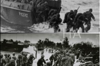 They Sent 40 ‘Criminals’ to Fight 30,000 Japanese — What Happened Next Created Navy SEALs