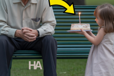 A Millionaire Spent His 70th Birthday Alone… Until a Little Beggar Bought Him a Cake—and Everything Changed