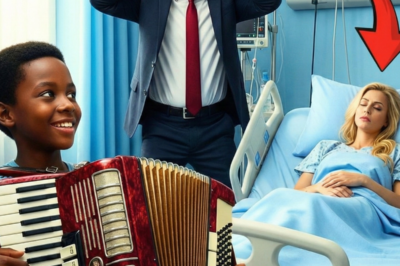 THE MILLIONAIRE’S WIFE WAS IN A COMA… BUT A STRANGER’S MUSIC WOKE SOMETHING NO ONE COULD EXPLAIN
