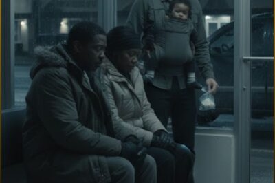 Single Dad Helped an Elderly Couple Left With Nothing, What Happened Next Shocked Everyone