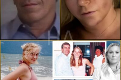 🚨 “Netflix Just Shattered the Wall of Silence: Did the New Epstein Docuseries Expose the One Story the Powerful Never Wanted Told?” 🔥