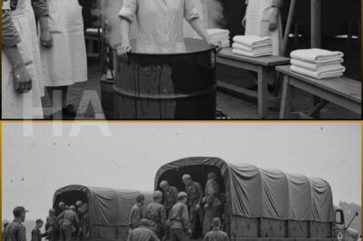 “Remove Your Wet Clothing Immediately” — Japanese Women POWs Braced for Shame… Then Came the Shock