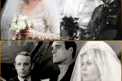 “Will You Walk Me Down the Aisle?” — The Call That Made Harry Morgan Cry