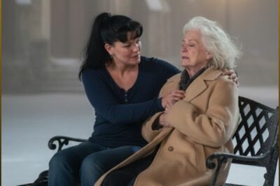 At Christmas Eve, my parents threw me out, my sister laughed, then a barefoot woman arrived…