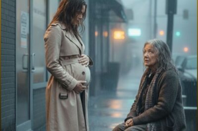 After Losing the Court Case to My Husband, I Walked Toward the Clinic Carrying My Unborn Twins—Until