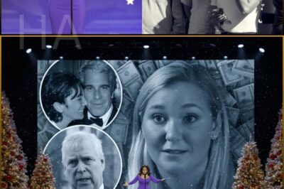 Episode 50 of The Oprah Winfrey Show, airing at 7:30 p.m. on December 22, became “a bomb detonated before Christmas Eve” that shook the entirety of Hollywood.