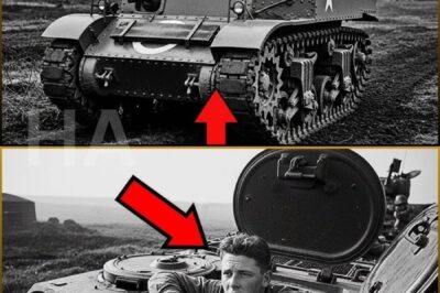 Germans Called It a “Toy Tank” — Until This M3 Stuart’s Secret Gearbox Outflanked 5 Tigers