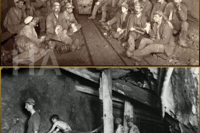 Miners Vanished in 1950 — 55 Years Later, Investigators Unearth a Terrifying Secret…