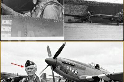 They Grounded Him for Being “Too Old” — Then He Shot Down 27 Fighters in One Week