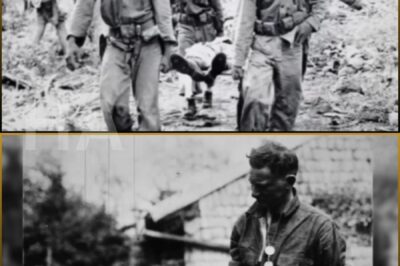 They Mocked His ‘Mail-Order’ Rifle — Until He K!lled 11 Snipers in 4 Days