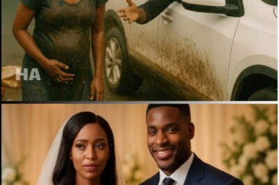 Unaware His Ex Wife Is Now Married To A Billionaire’s Son, He Splashed Mud Water On Her To Mock Her