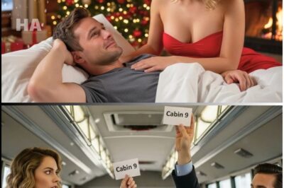 “No Way Out in the Blizzard — A Female CEO Slept Beside a Single Dad Until Morning”