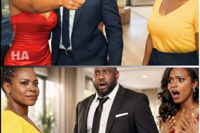 Husband Brought His Mistress Home—She Pointed at His Wife and Screamed “That’s My Boss!”