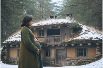 Left While Pregnant, She Inherited Her Grandmother’s Mountain House — and Everything Changed