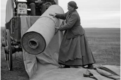 SHE BUILT A CANVAS TUNNEL TO HER BARN, AND WINTER PROVED IT WAS GENIUS