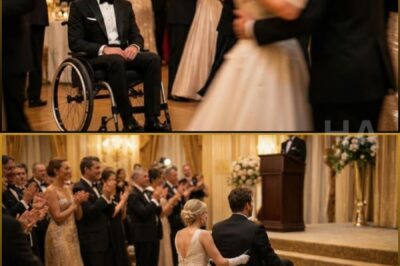 SHE ASKED A BILLIONAIRE IN A WHEELCHAIR TO BE HER DATE AT THE WEDDING — WHAT HAPPENED NEXT SHOCKED EVERYONE
