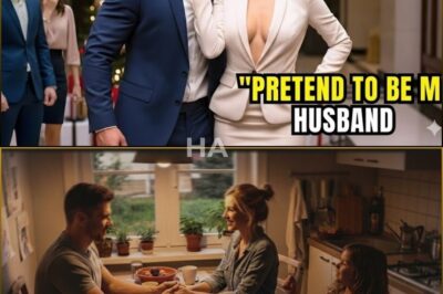 A BIllionaire Pleaded A Single Dad “Pretend to Be My Husband,” — But Her One Condition Shocked Him
