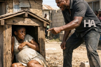 He Forces His Pregnant Wife to Sleep in a Dog Shed—Unaware She Is the Daughter of a Wealthy CEO…