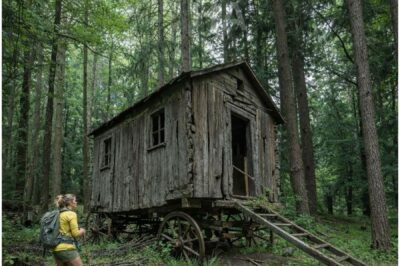 Lost in the Forest, She Found an Old Wagon Cabin — What Was Inside Waited for Over a Century