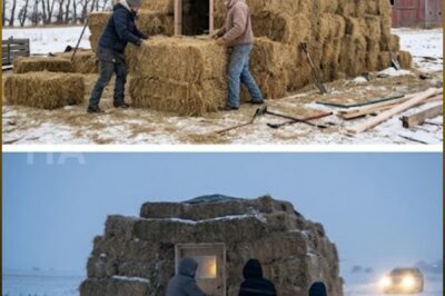 THE WIDOW THEY LEFT IN THE SNOW BUILT A HOUSE OF HAY, AND THE NIGHT THE TEMPERATURE HIT -42°F, THE WHOLE TOWN LEARNED WHAT WAS HIDDEN INSIDE