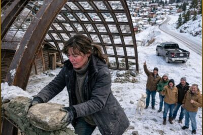 THEY CALLED HER CABIN A STONE COFFIN, UNTIL THE COLORADO BLIZZARD CRUSHED EVERY OTHER ROOF IN TOWN
