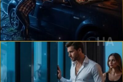 WHEN THE MAFIA BOSS CRASHED INTO HER FARMHOUSE, THE VET WHO SAVED HIM BECAME THE ONLY WOMAN WHO COULD STEAL HIS BILLIONS AND HIS HEART