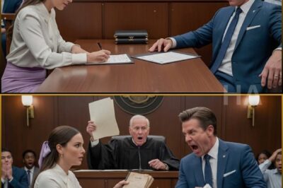 HE SMILED WHEN SHE SIGNED THE DIVORCE PAPERS… THEN THE JUDGE ROSE TO HIS FEET IN HORROR, realizing that the tattered stack of papers she possessed was….