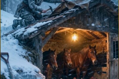 THEY SAID THE WIDOW WAS BURYING HER FUTURE UNDER THE PRAIRIE… UNTIL THE CHRISTMAS BLIZZARD DROVE THE ENTIRE COUNTY TO THE BARN THEY MOCKED