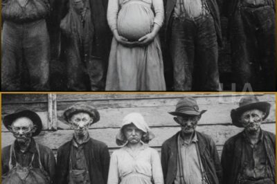 After 12 Generations Of Inbreeding With A Slave, BUT THE SECRET HIDDEN BEHIND HIS LIBRARY WALL EXPOSED A VIRGINIA DYNASTY THAT SPENT 13 GENERATIONS BREEDING ITS OWN DESTRUCTION