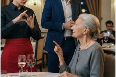 SHE SIGNED ONE SENTENCE TO THE BILLIONAIRE’S DEAF MOM… AND HIS EMPIRE STARTED BURNING IN SILENCE