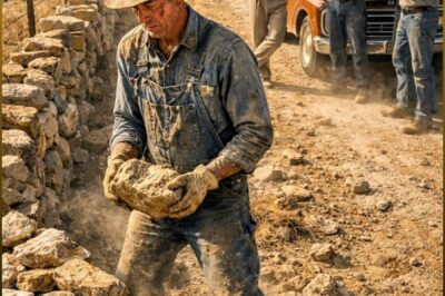 They scoffed when the poorest farmer in West Kansas spent six years piling “useless” stones along his field… until the wall everyone ridiculed stopped the prairie wind, saved his dying land, and transformed his worst plot into the most profitable in the county. As soon as he stated his conditions, everything was set…