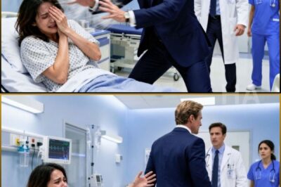 HE SLAPPED HER BEHIND AN ER CURTAIN, THEN THE MAN HE CALLED NOBODY SPOKE HIS NAME – The moment she reached out to grab him seemed to be his last chance. The moment the door closed, their lives officially entered a battle.